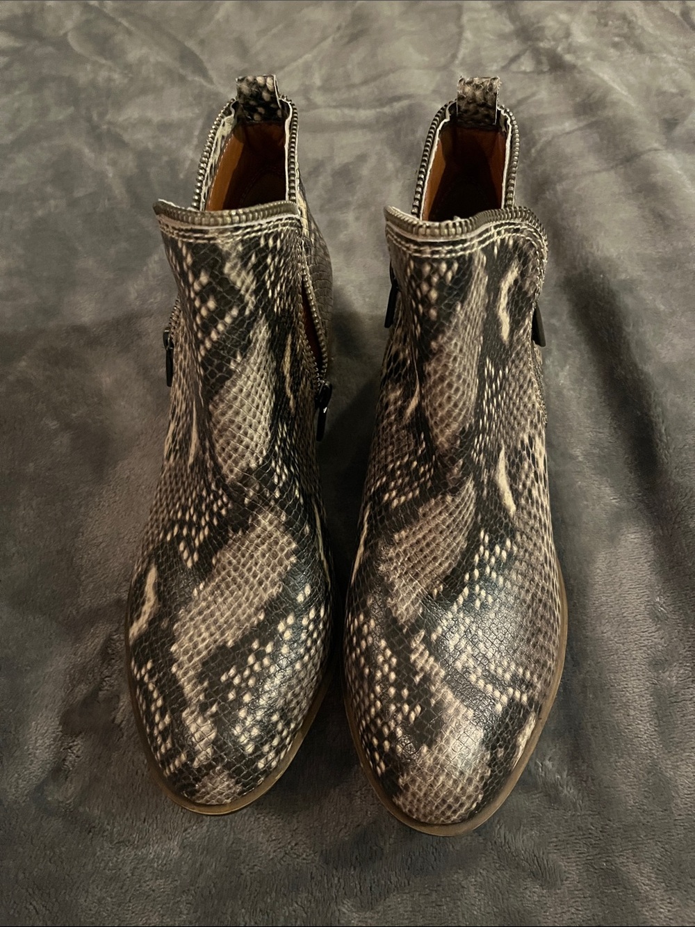 Lucky Brand Snake Print Ankle Booties in Black and Gray